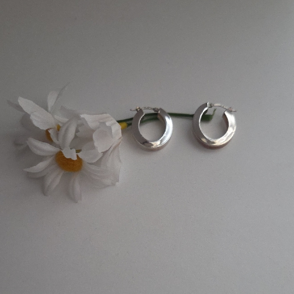 Elegant Silver Hoop Earrings